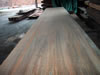 Blue Stain Sugar Pine