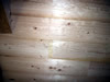 Western Hemlock Paneling