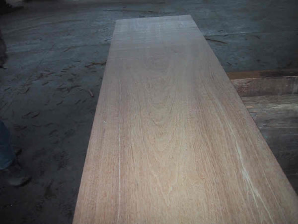 Indonesian Red Mahogany Monsoon Blow Down Slab