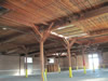 1x12 by 11 foot Ponderosa Pine 
