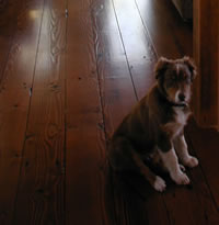 Cabin Grade Reclaimed Wood Flooring Finished Product