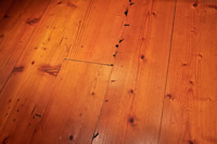 Mid Grade Doug Fir Floogin