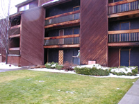 Western Red Cedar Recycled Siding