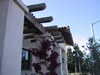 El Potrero Front View