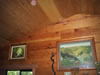 Douglas Fir Paneling Western Hemlock Ceiling Thumbnail 3